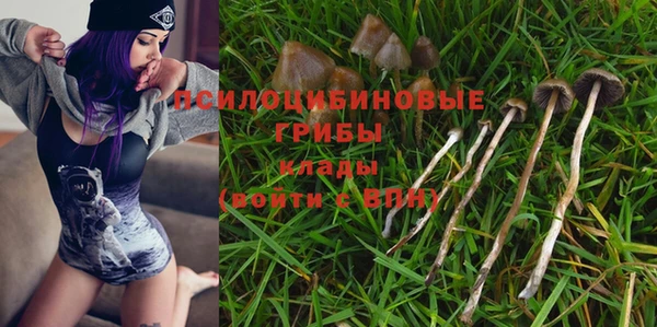 стаф Липки