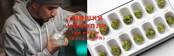 ГАЛЛЮЦИНОГЕННЫЕ ГРИБЫ Лиски