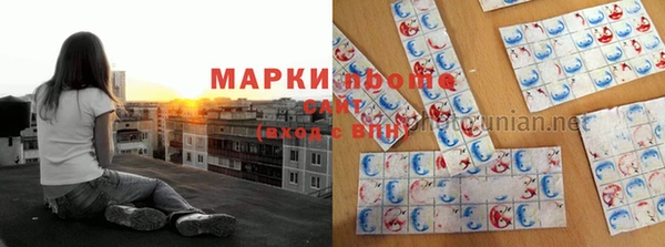 стаф Липки