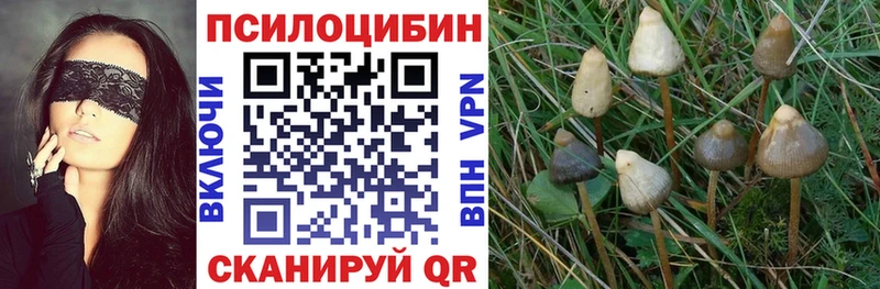 Галлюциногенные грибы MAGIC MUSHROOMS Суджа