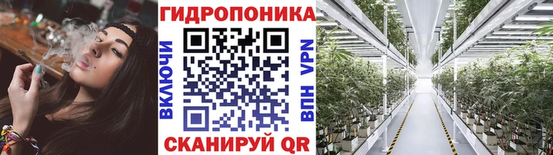 Бошки Шишки Amnesia  Суджа 